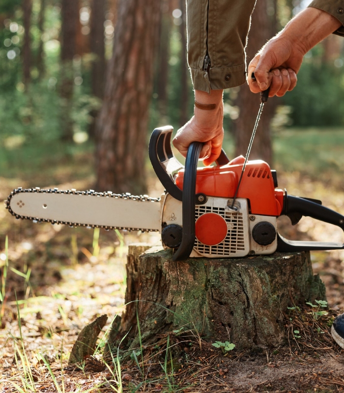 Tronçonneuse posée sur une souche avant un travail d’abattage d’arbre