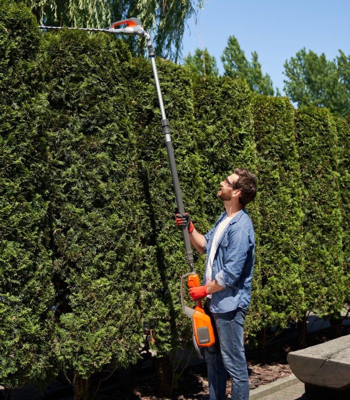 Professionnel utilisant un taille-haie télescopique pour entretenir une haie haute