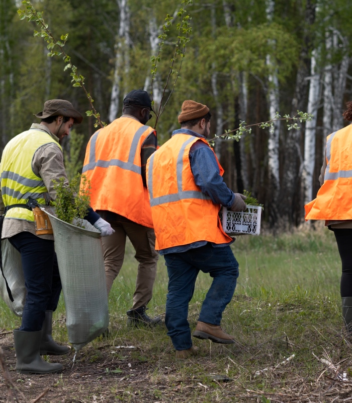 Groupe d’apprentis arboristes en formation pratique sur le terrain