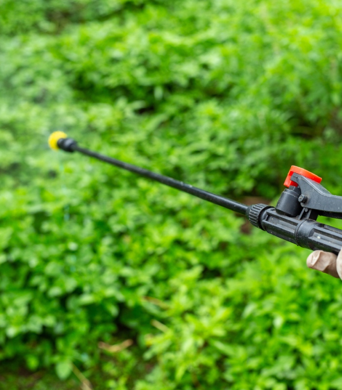 Application de traitement phytosanitaire pour préserver la santé des arbres et arbustes