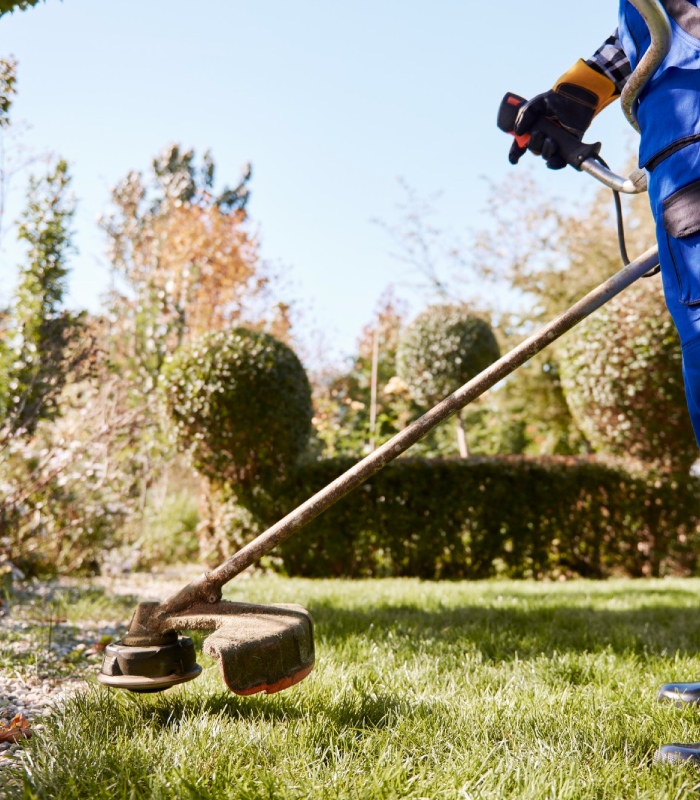 Jardinier effectuant un débroussaillage précis pour nettoyer les abords d’un espace vert