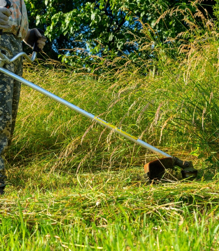 Utilisation d’une débroussailleuse pour entretenir un terrain envahi par la végétation